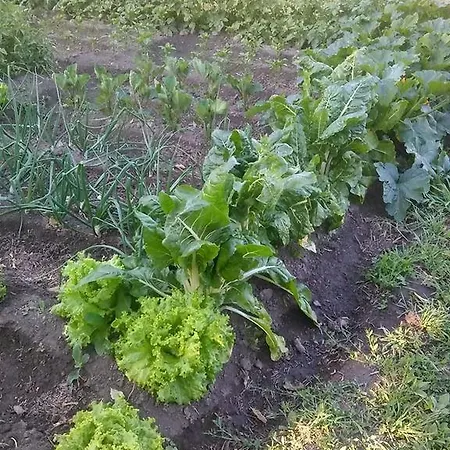 Auberge de jeunesse Turistico Via De La Plata *