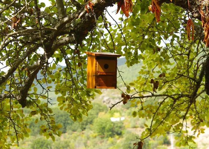 Turístico Via De La Plata Albergue