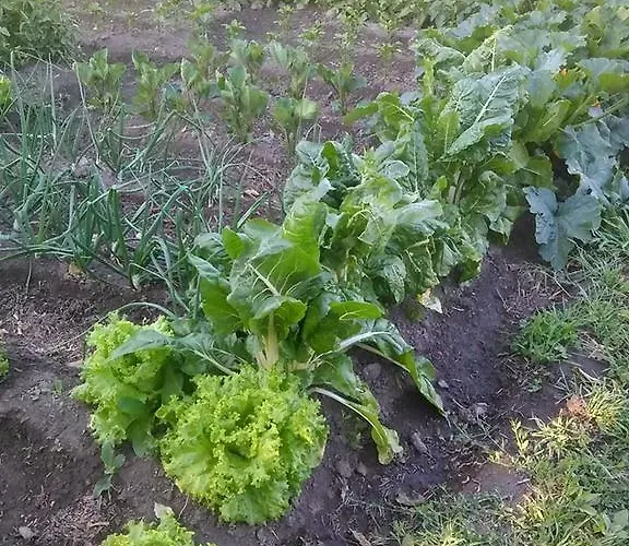 Albergue Turístico Via De La Plata *