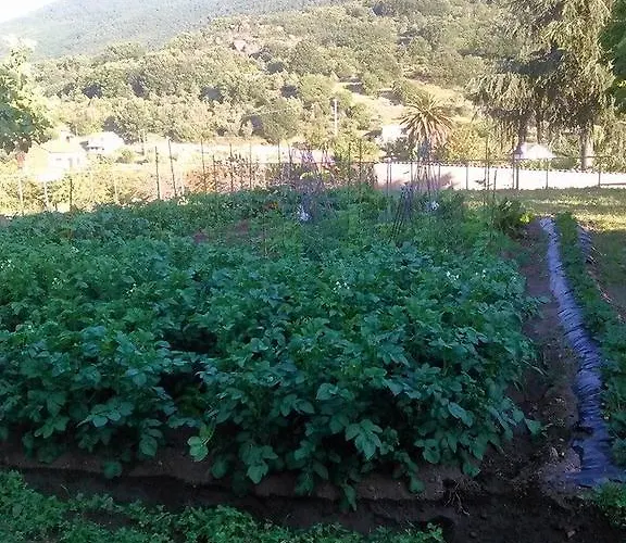 Turístico Via De La Plata Banos De Montemayor